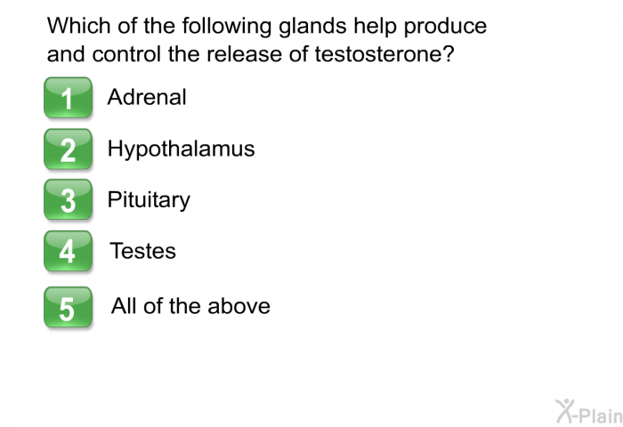 Which of the following glands help produce and control the release of testosterone?  Adrenal Hypothalamus Pituitary Testes All of the above