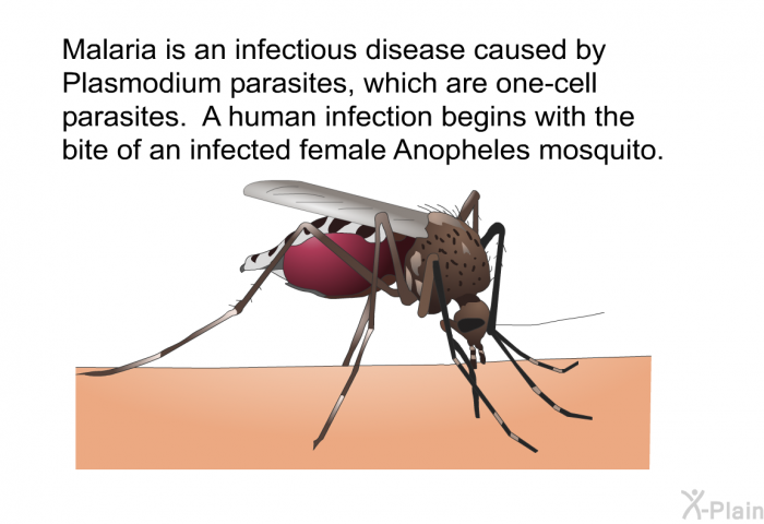 Malaria is an infectious disease caused by Plasmodium parasites, which are one-cell parasites. A human infection begins with the bite of an infected female <EM CLASS=