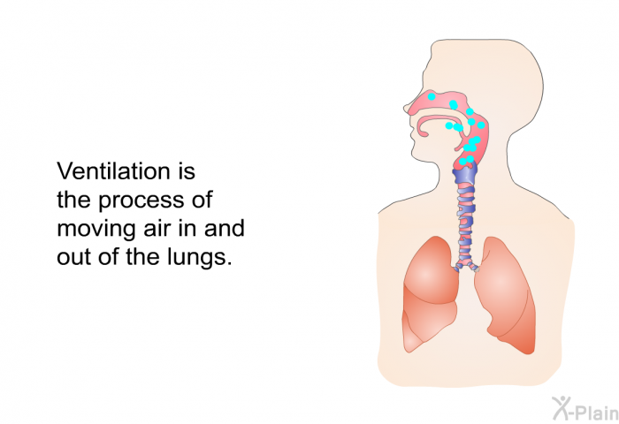 Ventilation is the process of moving air in and out of the lungs.