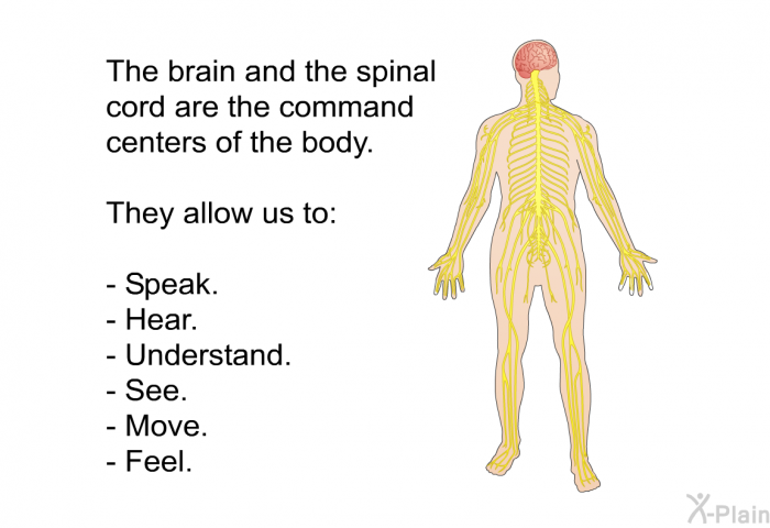 The brain and the spinal cord are the command centers of the body. They allow us to:  Speak. Hear. Understand. See. Move. Feel.
