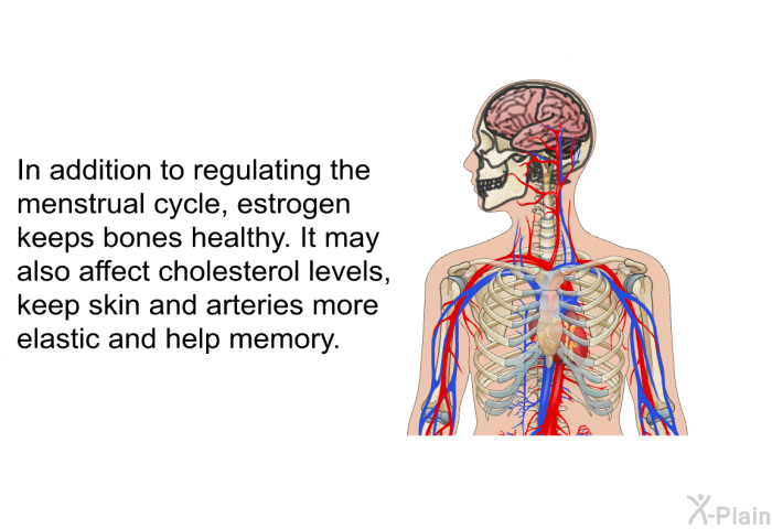 In addition to regulating the menstrual cycle, estrogen keeps bones healthy. It may also affect cholesterol levels, keep skin and arteries more elastic and help memory.