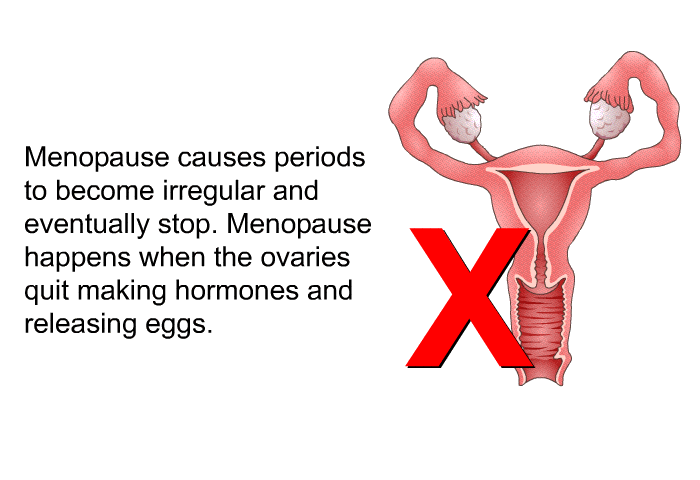 Menopause causes periods to become irregular and eventually stop. Menopause happens when the ovaries quit making hormones and releasing eggs.