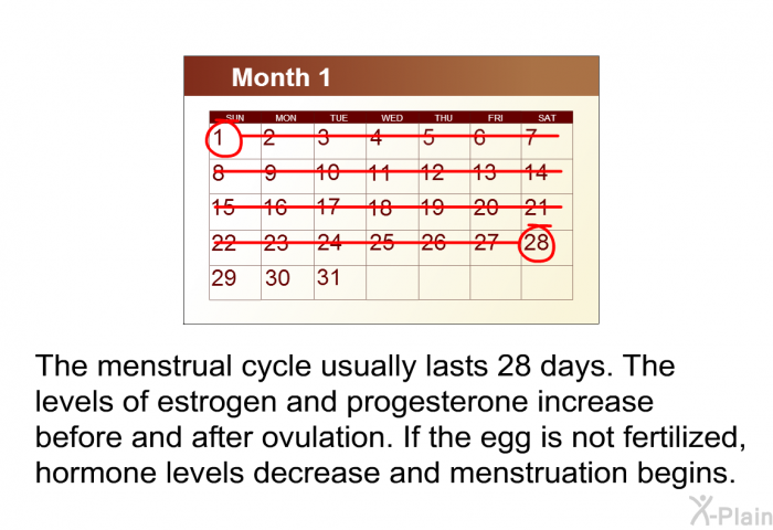 The menstrual cycle usually lasts 28 days. The levels of estrogen and progesterone increase before and after ovulation. If the egg is not fertilized, hormone levels decrease and menstruation begins.