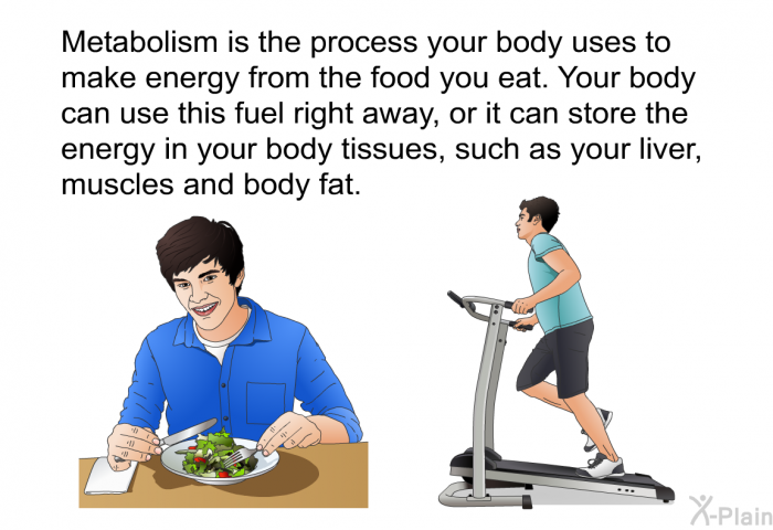 Metabolism is the process your body uses to make energy from the food you eat. Your body can use this fuel right away, or it can store the energy in your body tissues, such as your liver, muscles and body fat.