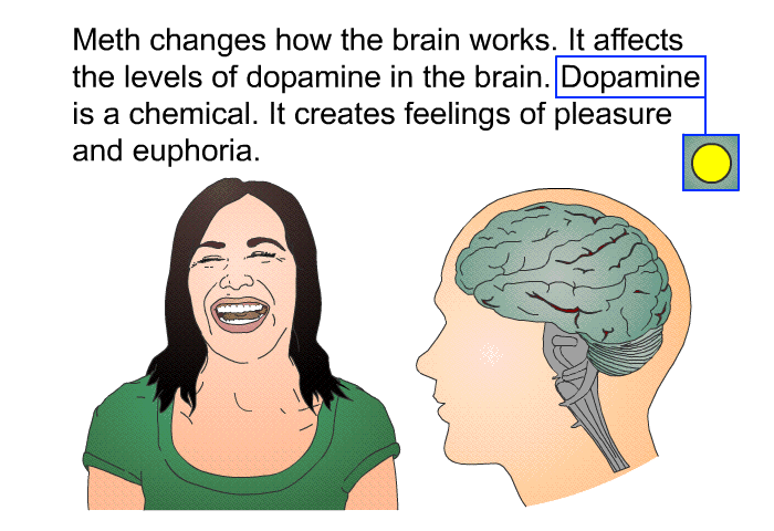 Meth changes how the brain works. It affects the levels of dopamine in the brain. Dopamine is a chemical. It creates feelings of pleasure and euphoria.
