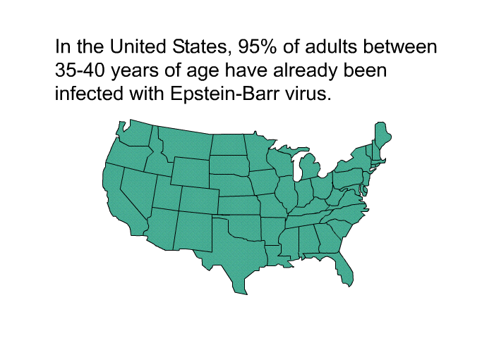 In the United States, 95% of adults between 35-40 years of age have already been infected with Epstein-Barr virus.