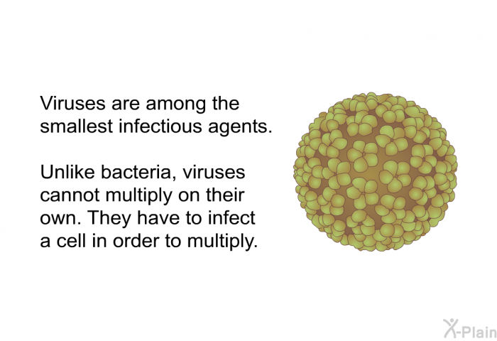 Viruses are among the smallest infectious agents. Unlike bacteria, viruses cannot multiply on their own. They have to infect a cell in order to multiply.