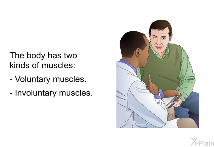 The body has two kinds of muscles:  Voluntary muscles.  Involuntary muscles.