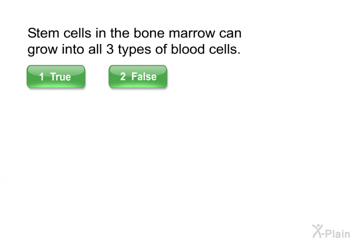 Stem cells in the bone marrow can grow into all 3 types of blood cells.