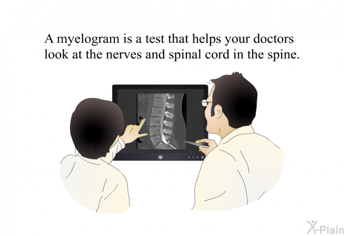 A myelogram is a test that helps your doctors look at the nerves and spinal cord in the spine.