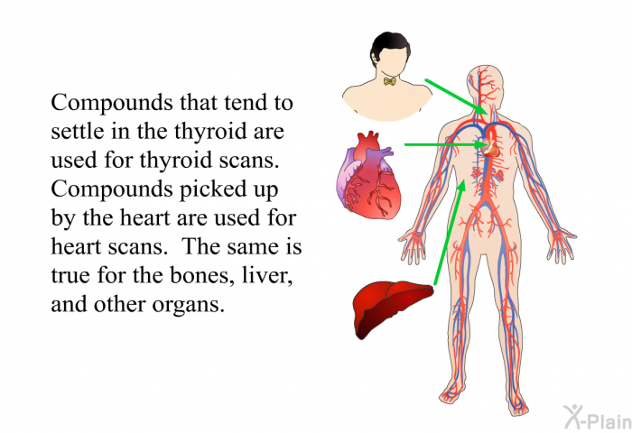 Compounds that tend to settle in the thyroid are used for thyroid scans. Compounds picked up by the heart are used for heart scans. The same is true for the bones, liver, and other organs.