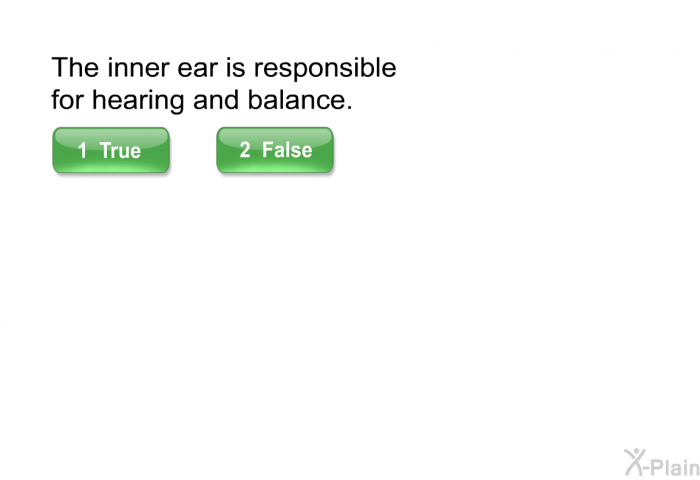 The inner ear is responsible for hearing and balance.