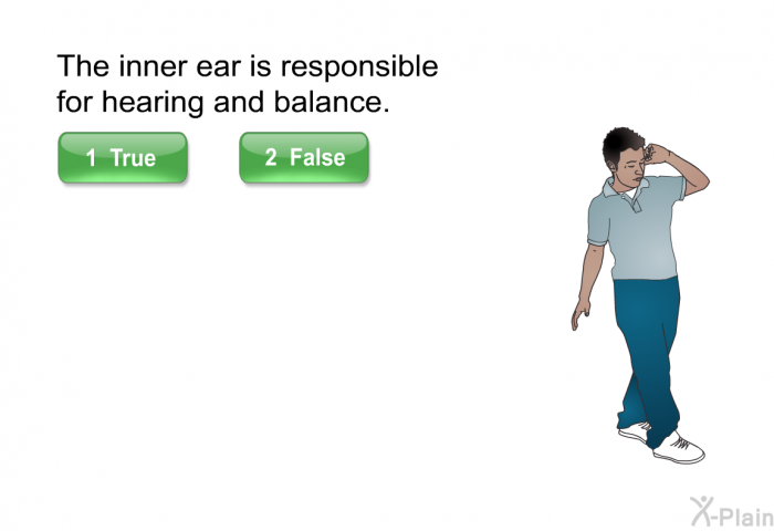 The inner ear is responsible for hearing and balance.