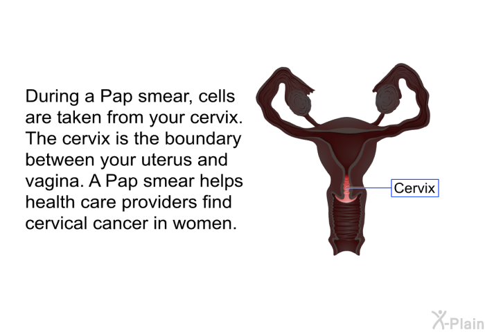 During a Pap smear, cells are taken from your cervix. The cervix is the boundary between your uterus and vagina. A Pap smear helps health care providers find cervical cancer in women.