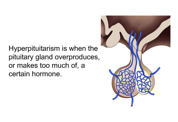 Hyperpituitarism is when the pituitary gland overproduces, or makes too much of, a certain hormone.