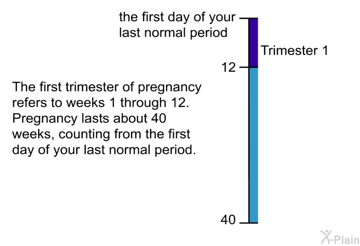 The first trimester of pregnancy refers to weeks 1 through 12. Pregnancy lasts about 40 weeks, counting from the first day of your last normal period.
