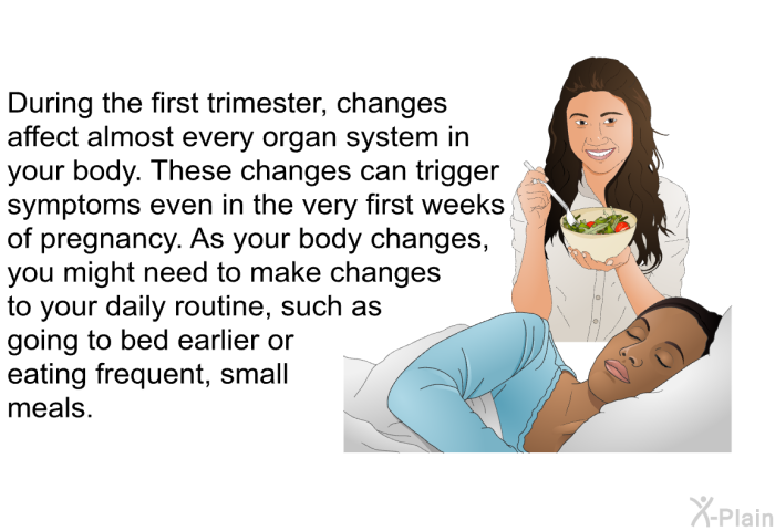 Pregnancy 1st Trimester: Symptoms, Body Changes, Diet & Precautions