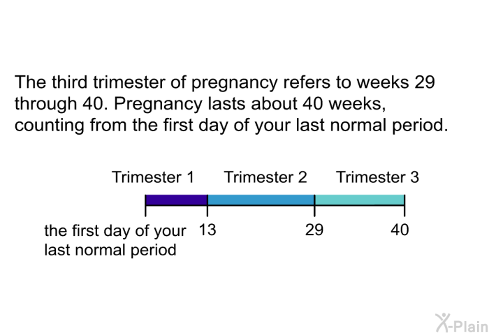 The third trimester of pregnancy refers to weeks 29 through 40. Pregnancy lasts about 40 weeks, counting from the first day of your last normal period.