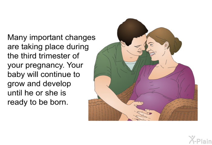 Many important changes are taking place during the third trimester of your pregnancy. Your baby will continue to grow and develop until he or she is ready to be born.