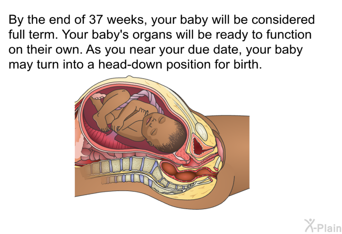 By the end of 37 weeks, your baby will be considered full term. Your baby's organs will be ready to function on their own. As you near your due date, your baby may turn into a head-down position for birth.