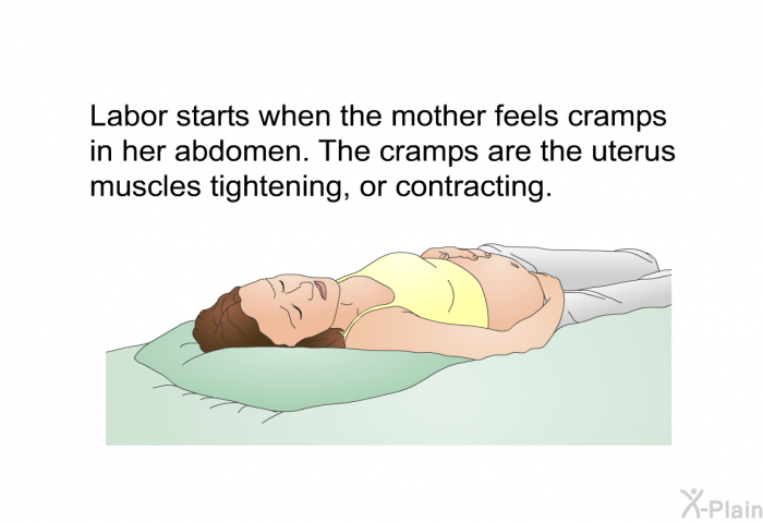 Labor starts when the mother feels cramps in her abdomen. The cramps are the uterus muscles tightening, or contracting.