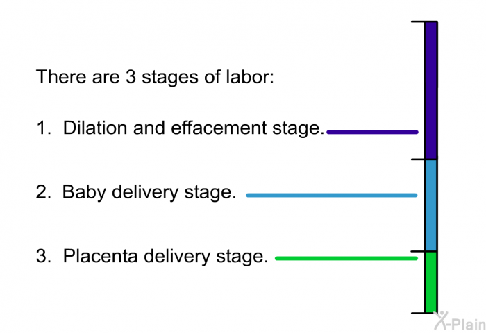 There are 3 stages of labor:  Dilation and effacement stage. Baby delivery stage. Placenta delivery stage.