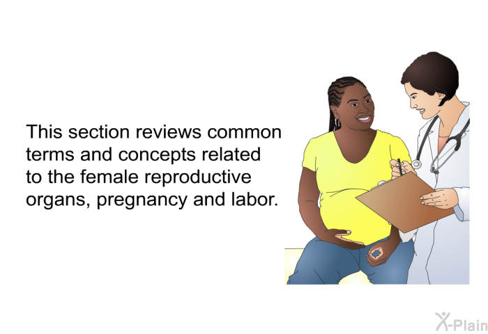 This section reviews common terms and concepts related to the female reproductive organs, pregnancy and labor.