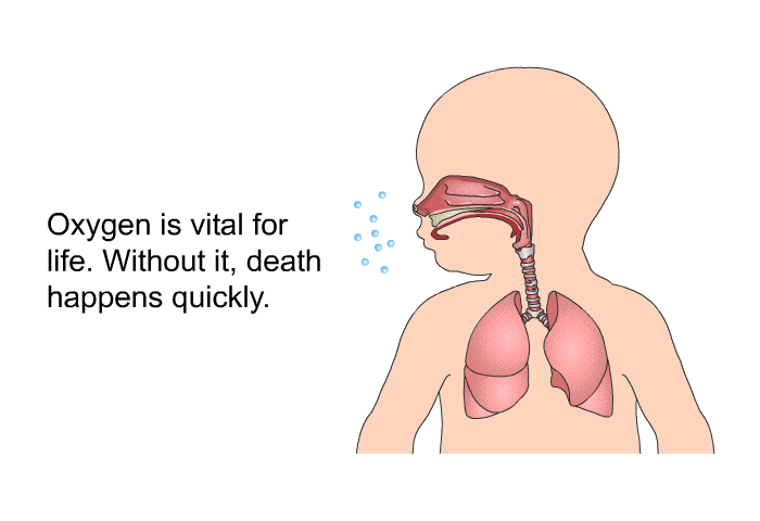Oxygen is vital for life. Without it, death happens quickly.