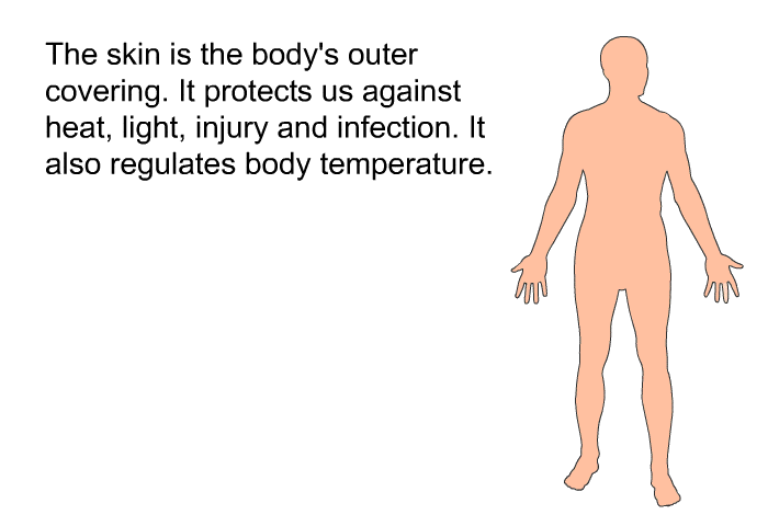 The skin is the body's outer covering. It protects us against heat, light, injury and infection. It also regulates body temperature.