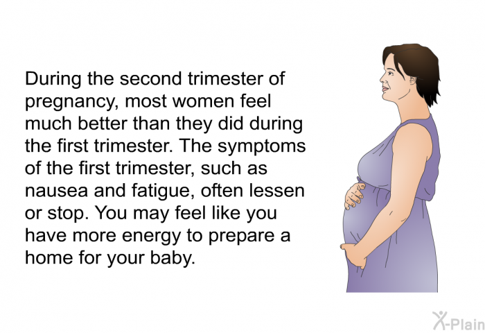 During the second trimester of pregnancy, most women feel much better than they did during the first trimester. The symptoms of the first trimester, such as nausea and fatigue, often lessen or stop. You may feel like you have more energy to prepare a home for your baby.