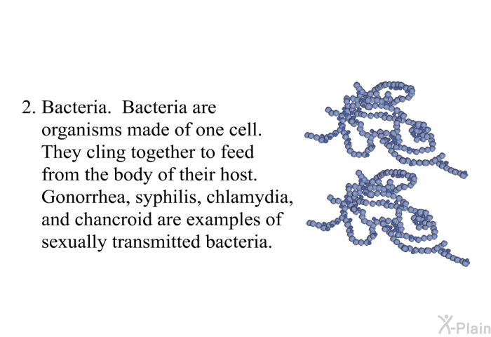 Bacteria. Bacteria are organisms made of one cell. They cling together to feed from the body of their host. Gonorrhea, syphilis, chlamydia, and chancroid are examples of sexually transmitted bacteria.