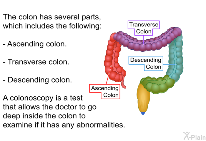 The colon has several parts, which includes the following:  Ascending colon. Transverse colon. Descending colon.  
 A colonoscopy is a test that allows the doctor to go deep inside the colon to examine if it has any abnormalities.