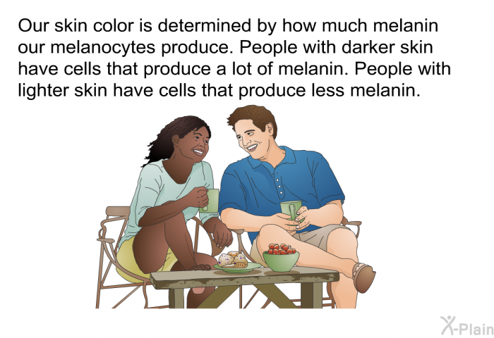 Our skin color is determined by how much melanin our melanocytes produce. People with darker skin have cells that produce a lot of melanin. People with lighter skin have cells that produce less melanin.