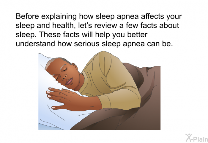 Before explaining how sleep apnea affects your sleep and health, let's review a few facts about sleep. These facts will help you better understand how serious sleep apnea can be.