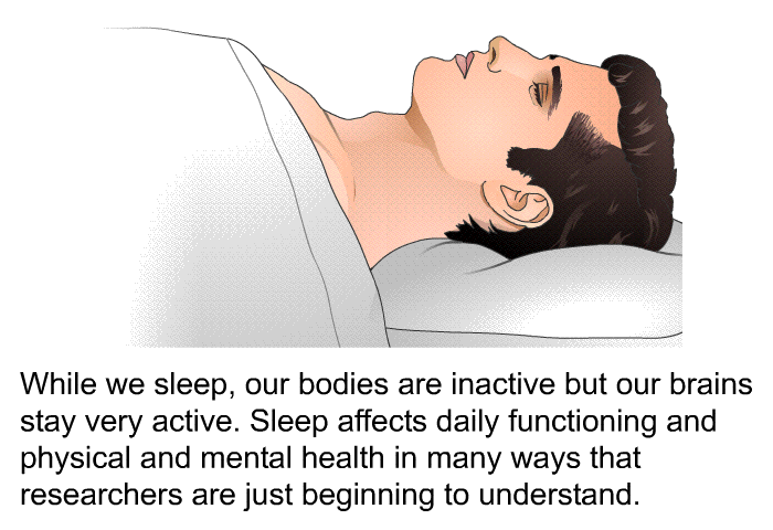 While we sleep, our bodies are inactive but our brains stay very active. Sleep affects daily functioning and physical and mental health in many ways that researchers are just beginning to understand.