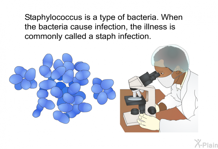 Staphylococcus is a type of bacteria. When the bacteria cause infection, the illness is commonly called a staph infection.