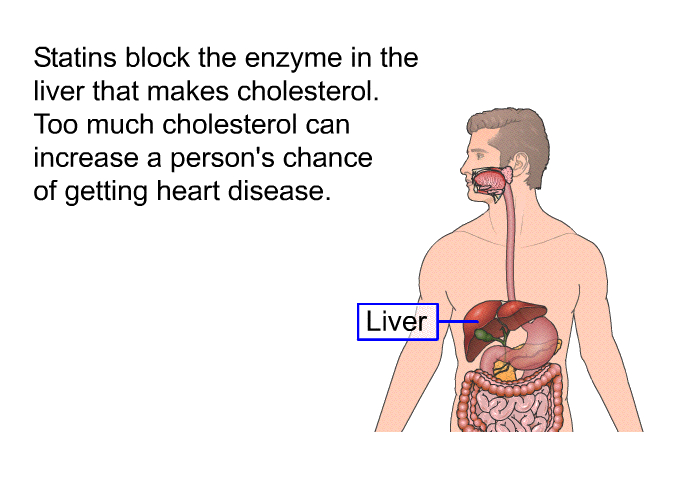 Statins block the enzyme in the liver that makes cholesterol. Too much cholesterol can increase a person's chance of getting heart disease.