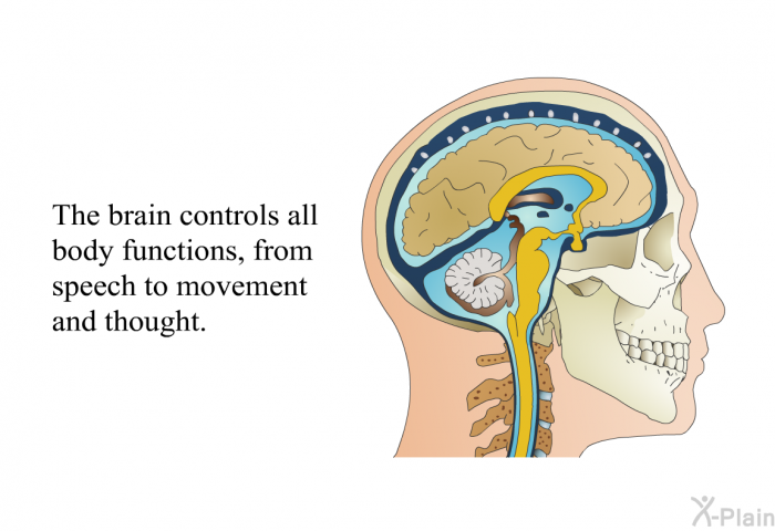 The brain controls all body functions, from speech to movement and thought.