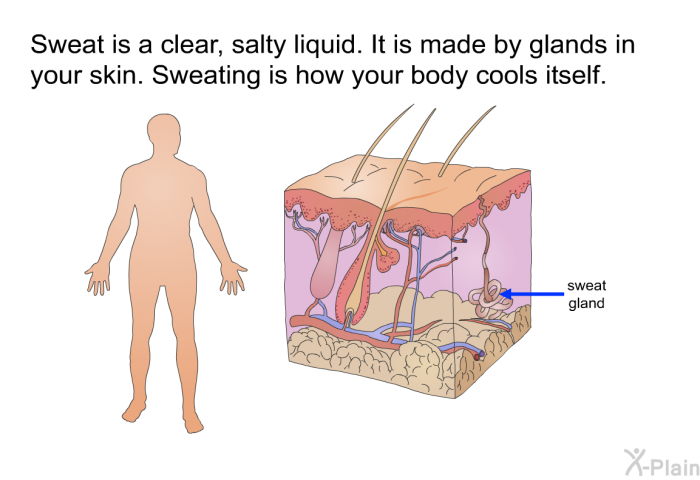 Sweat is a clear, salty liquid. It is made by glands in your skin. Sweating is how your body cools itself.