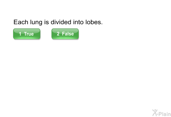 Each lung is divided into lobes.