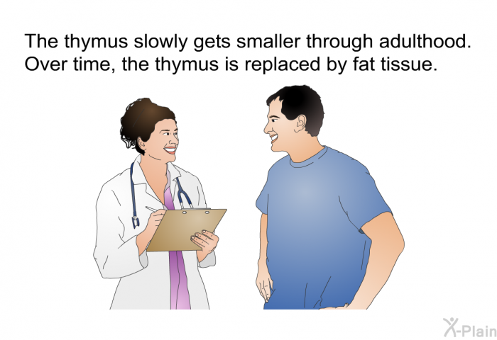 The thymus slowly gets smaller through adulthood. Over time, the thymus is replaced by fat tissue.