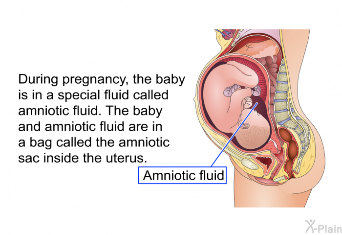 During pregnancy, the baby is in a special fluid called amniotic fluid. The baby and amniotic fluid are in a bag called the amniotic sac inside the uterus.