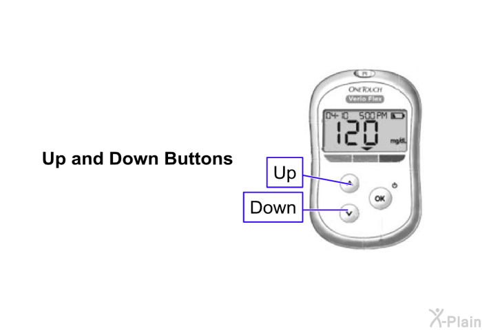 <B>Up and Down Buttons</B>