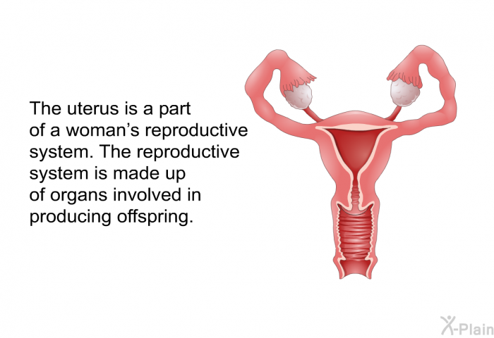 The uterus is a part of a woman's reproductive system. The reproductive system is made up of organs involved in producing offspring.