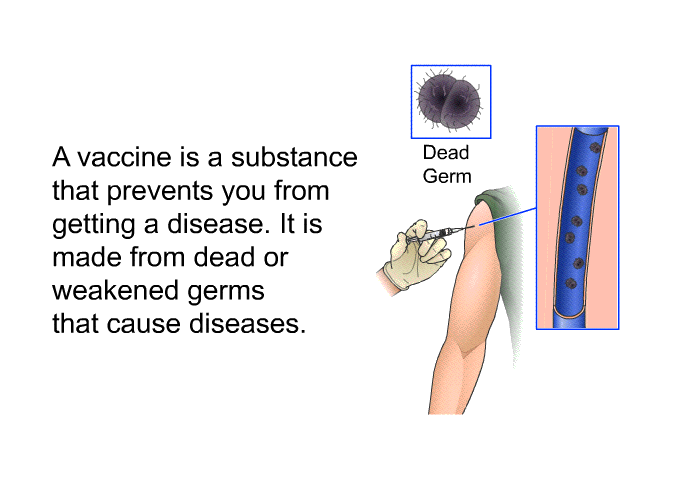 A vaccine is a substance that prevents you from getting a disease. It is made from dead or weakened germs that cause diseases.