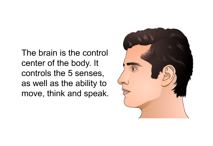 The brain is the control center of the body. It controls the 5 senses, as well as the ability to move, think and speak.