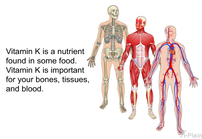 Vitamin K is a nutrient found in some food. Vitamin K is important for your bones, tissues, and blood.
