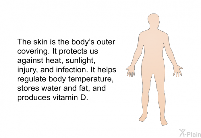 The skin is the body's outer covering. It protects us against heat, sunlight, injury, and infection. It helps regulate body temperature, stores water and fat, and produces vitamin D.