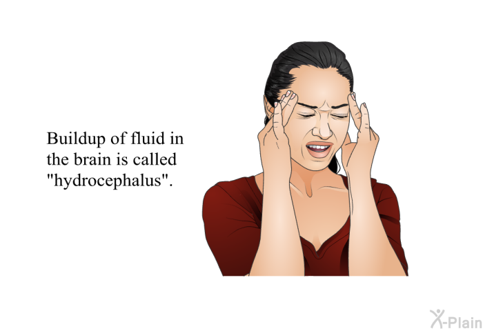 Buildup of fluid in the brain is called “hydrocephalus”.