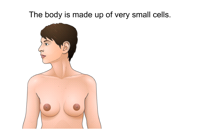 The body is made up of very small cells.